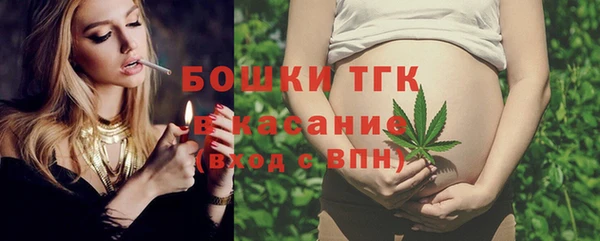 спайс Няндома