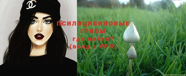 спайс Няндома