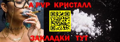 стафф Кинель
