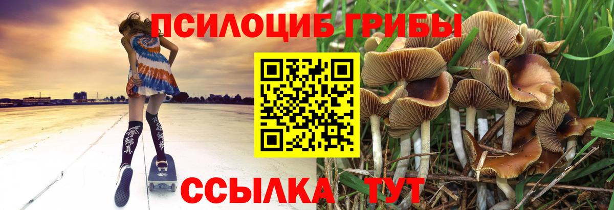 Псилоцибиновые грибы мухоморы  купить  цена  Кореновск  Вход с VPN 