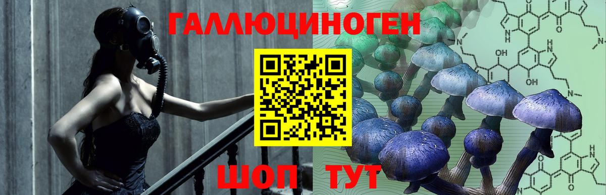Галлюциногенные грибы GOLDEN TEACHER Кореновск