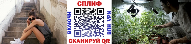 Бошки марихуана Amnesia Кореновск